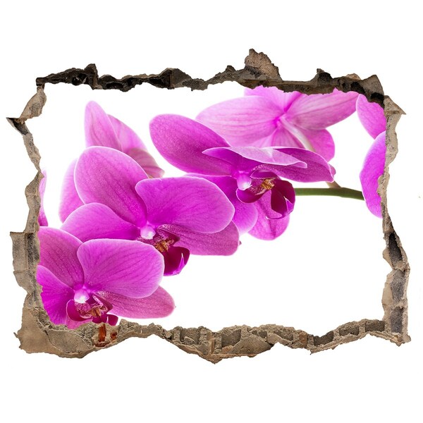 Finto buco nel muro 3D Orchidee che spuntano da un buco nel muro