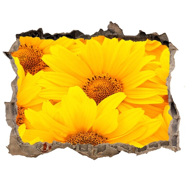 Finto buco nel muro 3D Girasoli in un buco nel muro
