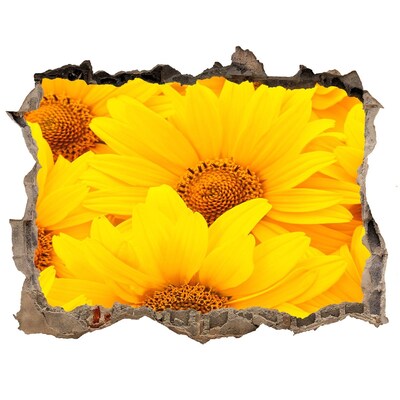 Finto buco nel muro 3D Girasoli in un buco nel muro