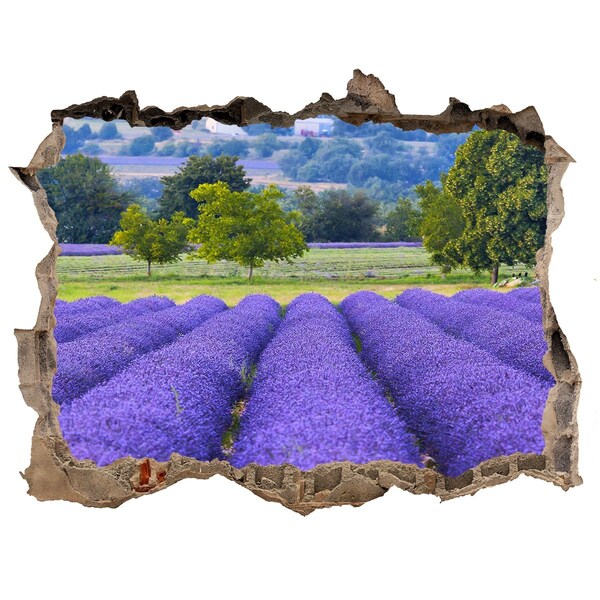 Adesivo buco nel muro Campi di lavanda in Provenza