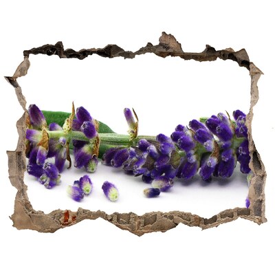 Sticker buco nel muro Un fiore di lavanda spunta dal buco nel muro