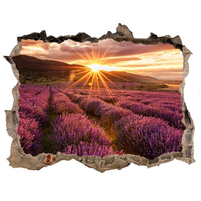 Finto buco nel muro 3D Campo di lavanda al tramonto
