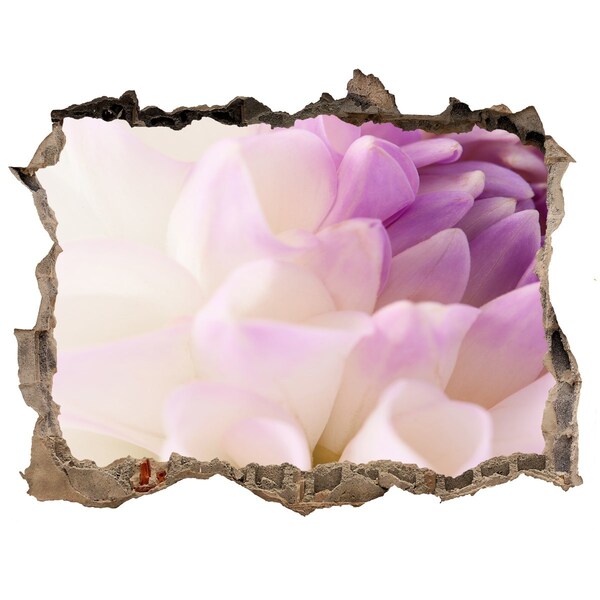 Finto buco nel muro 3D Illusione floreale nel cemento