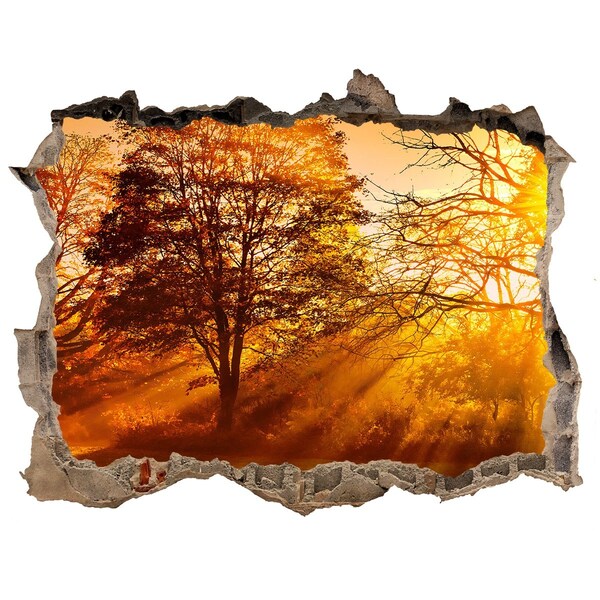 Finto buco nel muro 3D Raggi dorati di sole nella foresta