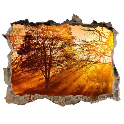 Finto buco nel muro 3D Raggi dorati di sole nella foresta