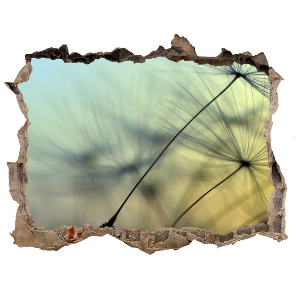 Finto buco nel muro 3D Sogno di tarassaco