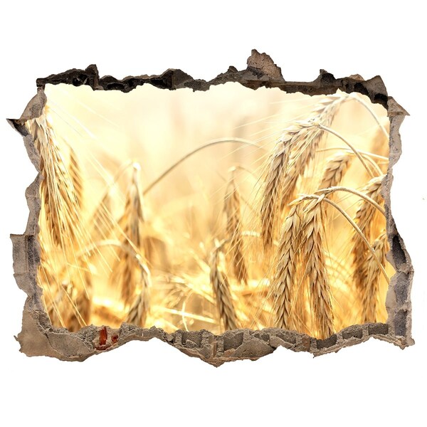 Adesivo buco nel muro Campi di grano dorati