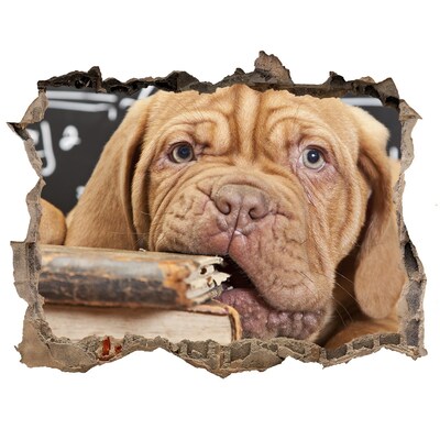Finto buco nel muro 3D Un dolce cucciolo tra i libri