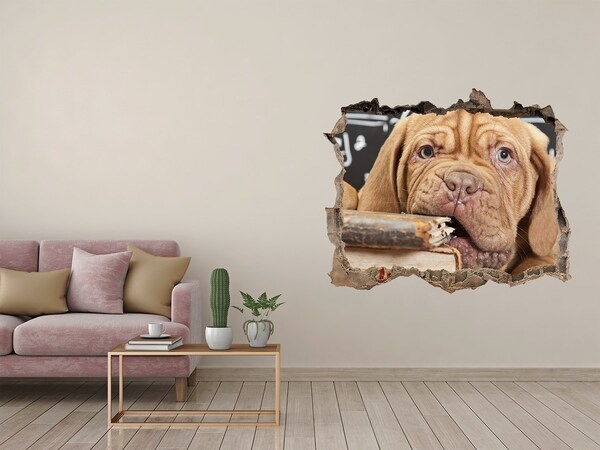 Finto buco nel muro 3D Un dolce cucciolo tra i libri