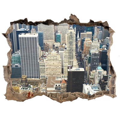 Finto buco nel muro 3D Vista di Manhattan
