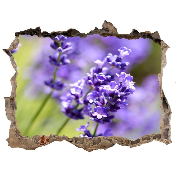 Sticker buco nel muro Fiori di lavanda in un buco virtuale