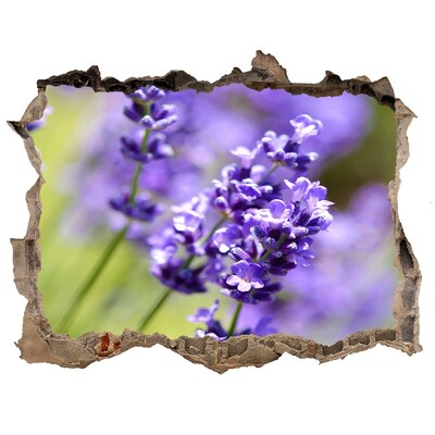 Sticker buco nel muro Fiori di lavanda in un buco virtuale