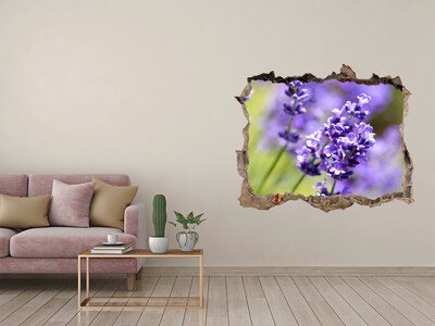 Sticker buco nel muro Fiori di lavanda in un buco virtuale