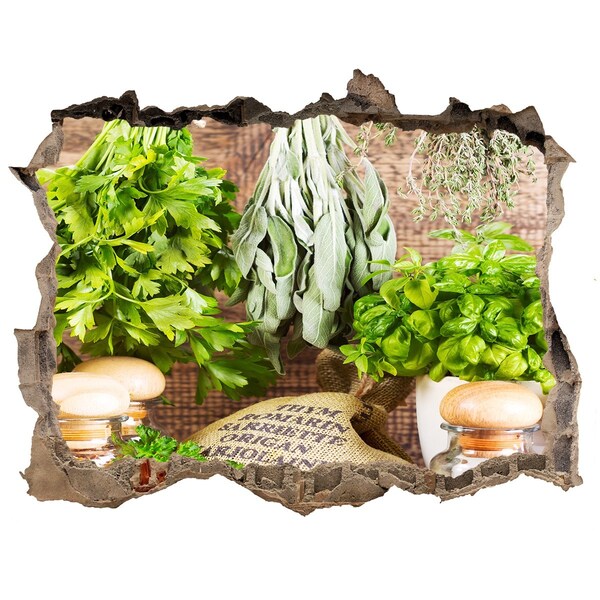 Sticker buco nel muro Cucina verde con erbe aromatiche