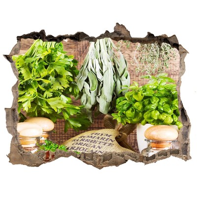 Sticker buco nel muro Cucina verde con erbe aromatiche