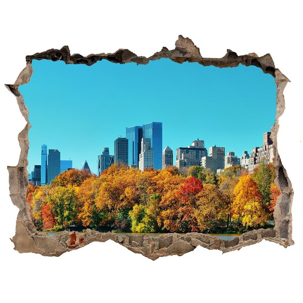 Finto buco nel muro 3D Autunno a New York