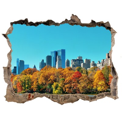 Finto buco nel muro 3D Autunno a New York