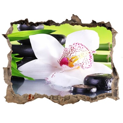 Adesivo buco nel muro Un'oasi floreale di pace