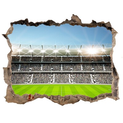 Finto buco nel muro 3D Stadio di calcio in azione