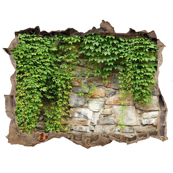 Finto buco nel muro 3D Muro verde con pietre