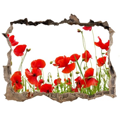 Adesivo buco nel muro Un paradiso floreale in cemento