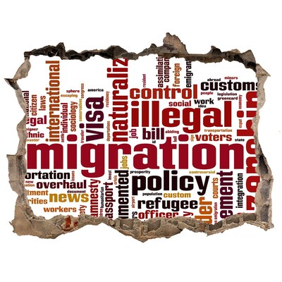 Finto buco nel muro 3D Politica migratoria