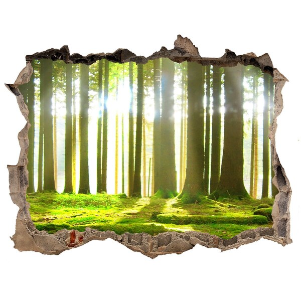 Sticker buco nel muro Foresta verde con raggi di sole