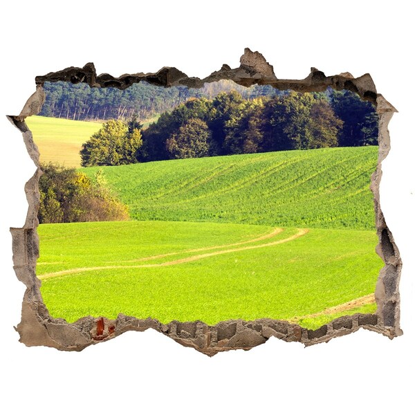 Adesivo buco nel muro Un prato verde dietro il muro