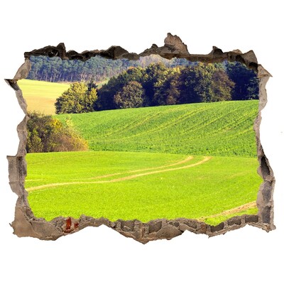 Adesivo buco nel muro Un prato verde dietro il muro