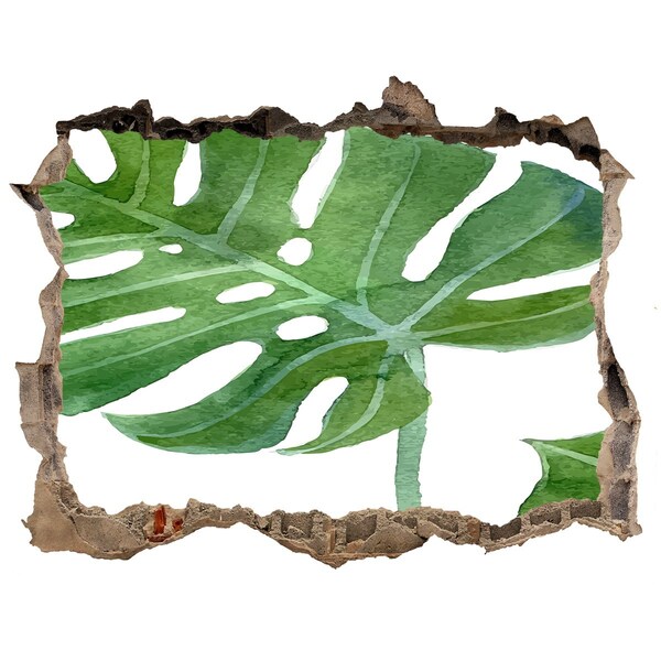 Adesivo buco nel muro Monstera verde nel cemento