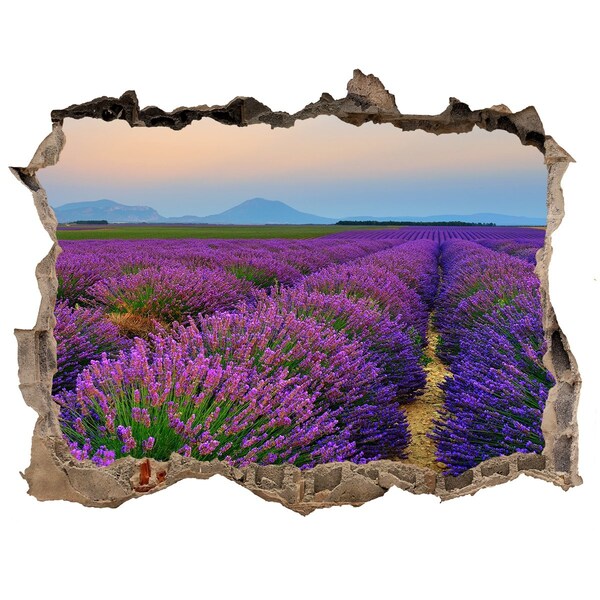 Sticker buco nel muro Campi di lavanda al sole