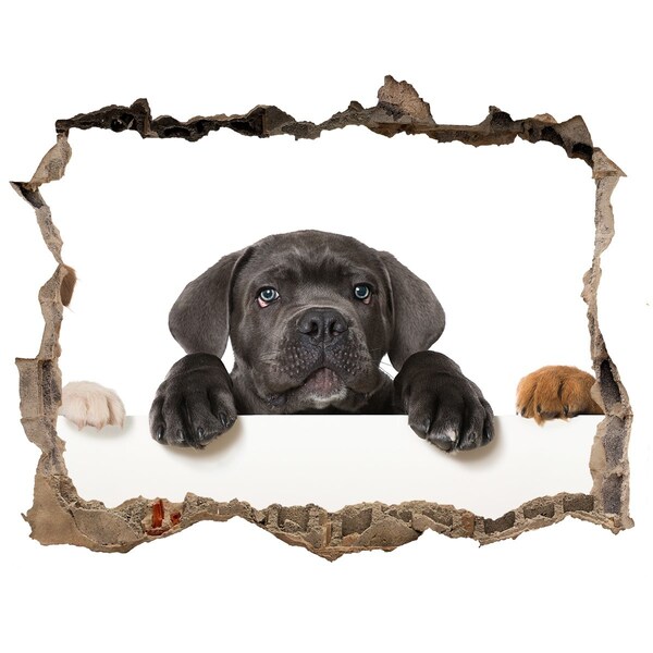 Finto buco nel muro 3D Dolce cucciolo da dietro il muro