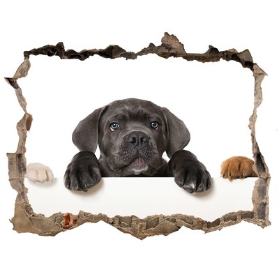 Finto buco nel muro 3D Dolce cucciolo da dietro il muro