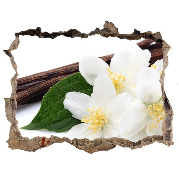 Adesivo buco nel muro Fiori di gelsomino nel cemento