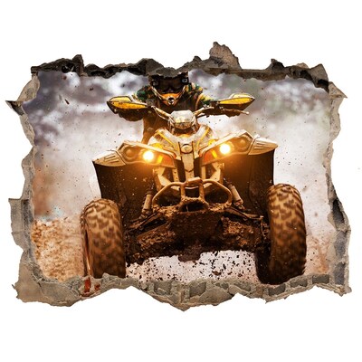 Finto buco nel muro 3D Quad da rally in azione