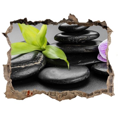 Adesivo buco nel muro Una vista rilassante con pietre e piante