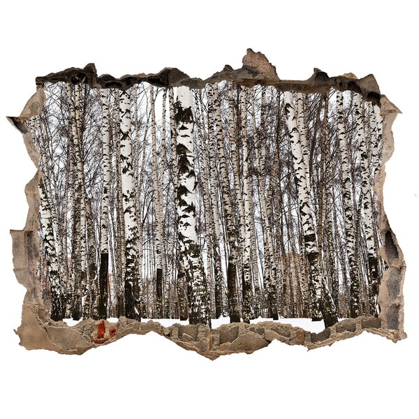 Sticker buco nel muro Foresta di betulle invernali