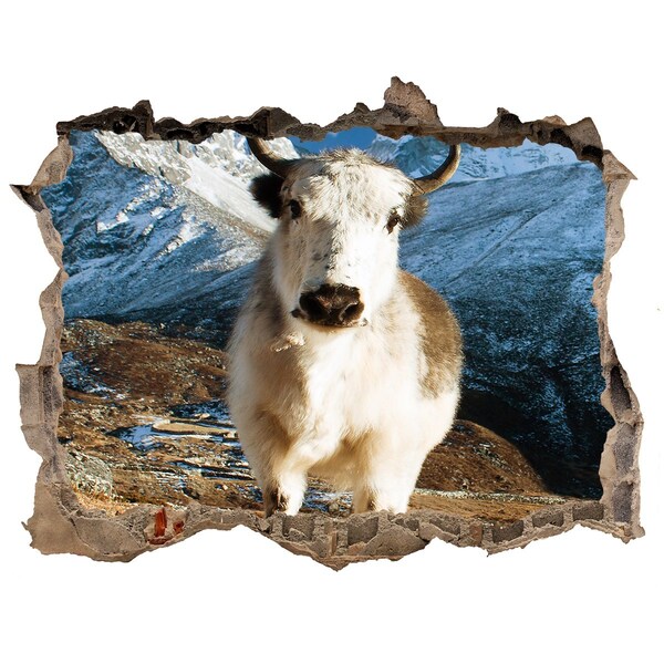 Sticker buco nel muro Bufalo di montagna in una tana nel muro