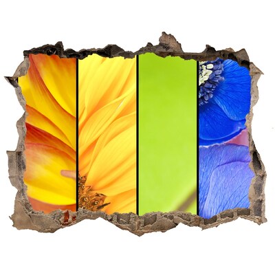 Adesivo buco nel muro Il mondo floreale dietro il muro