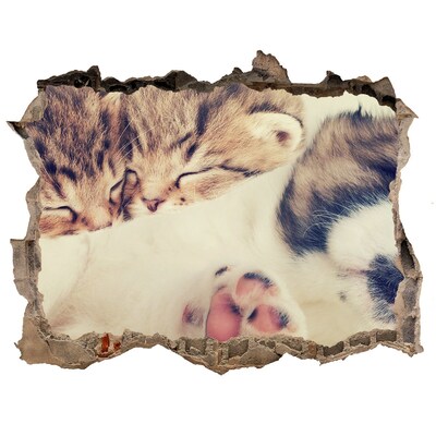 Adesivo buco nel muro Gattini carini in un buco nel muro