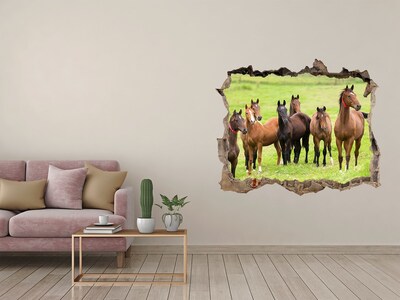 Adesivo buco nel muro Una mandria di cavalli al pascolo