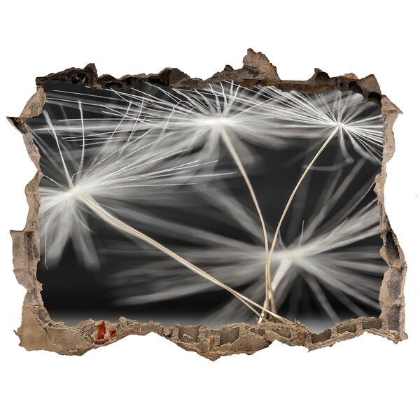 Adesivo buco nel muro Fiori di tarassaco nel cemento