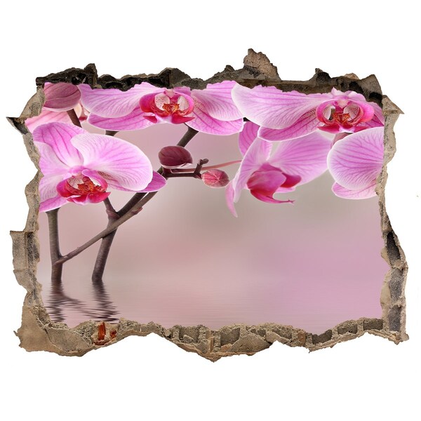 Sticker buco nel muro Orchidea in un muro diroccato