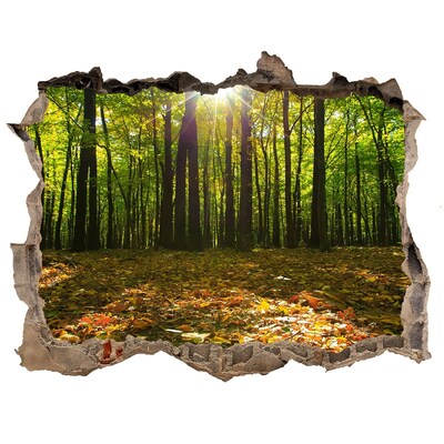 Sticker buco nel muro Un'oasi nella foresta baciata dal sole