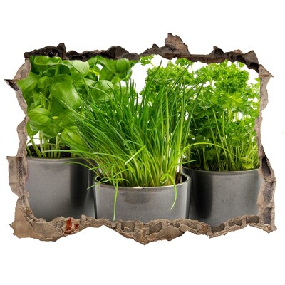 Sticker buco nel muro Giardino verde in vaso