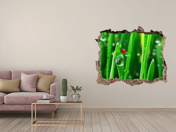 Finto buco nel muro 3D Una goccia di rugiada sull'erba con una coccinella