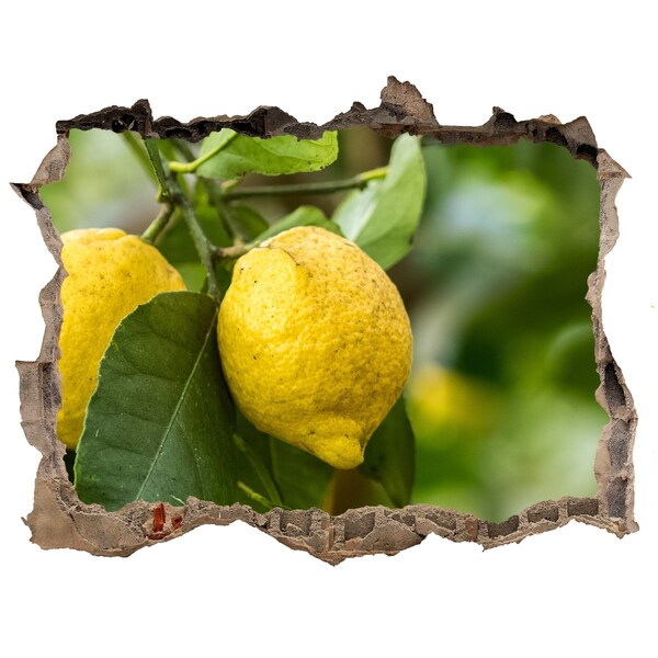 Sticker buco nel muro Limoneto dietro il muro