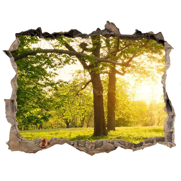 Finto buco nel muro 3D Un paradiso verde tra gli alberi