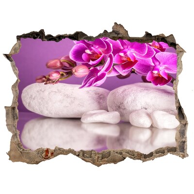 Adesivo buco nel muro Orchidea su uno sfondo di pietre
