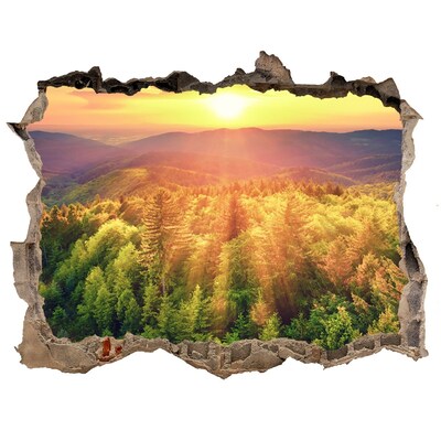 Sticker buco nel muro Raggi dorati di sole nella foresta